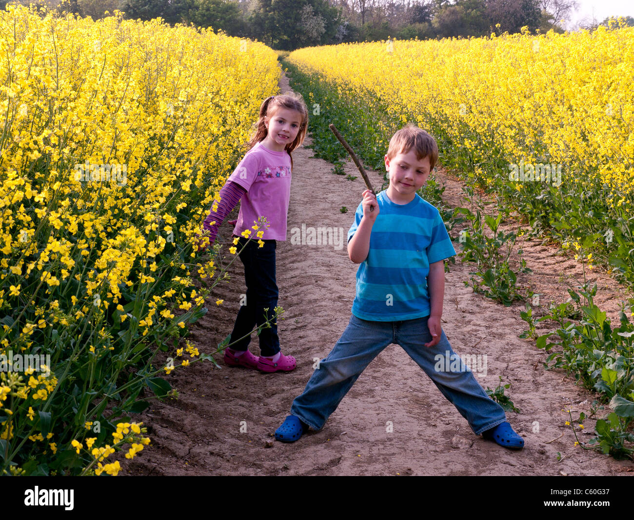 Jungen und Mädchen in einem Feld von gelben Raps im Frühjahr in Chesham, Bucks, Großbritannien Stockfoto