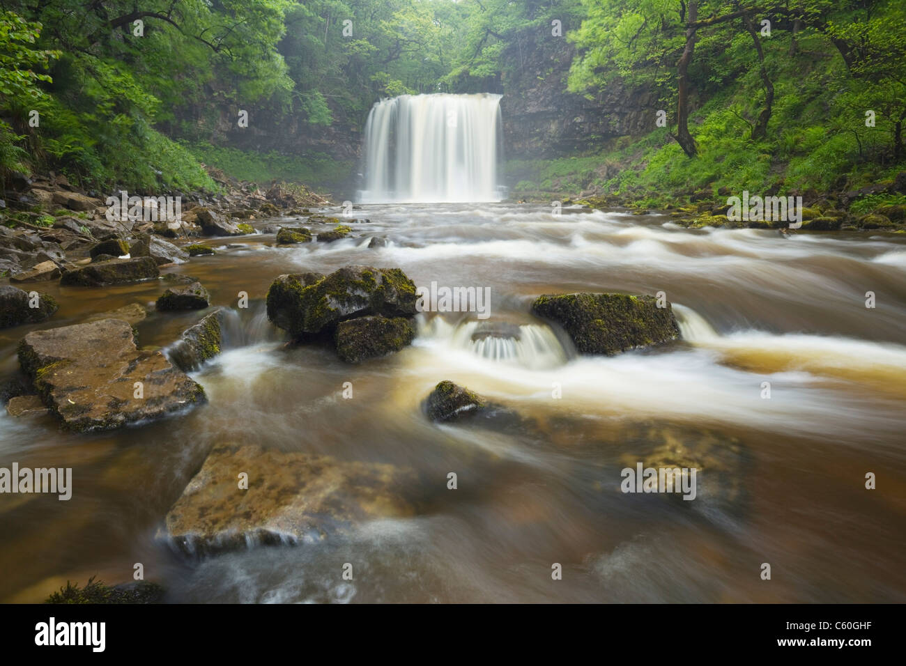 Sgwd yr Eira Wasserfall. In der Nähe von Ystradfellte. Brecon Beacons National Park. Powys. Wales. VEREINIGTES KÖNIGREICH. Stockfoto