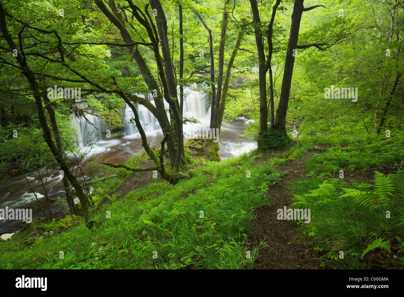 Sgwd y Pannwr Wasserfall. In der Nähe von Ystradfellte. Brecon Beacons National Park. Powys. Wales. VEREINIGTES KÖNIGREICH. Stockfoto