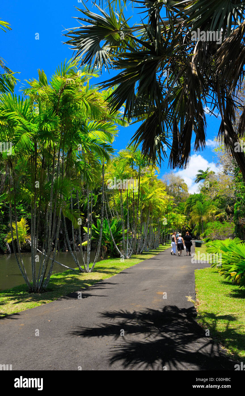 Sir Seewoosagur Ramgoolam Botanic Garden Pamplemousses, Mauritius. Stockfoto