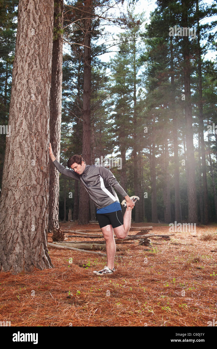 Läufer im Wald Stockfoto