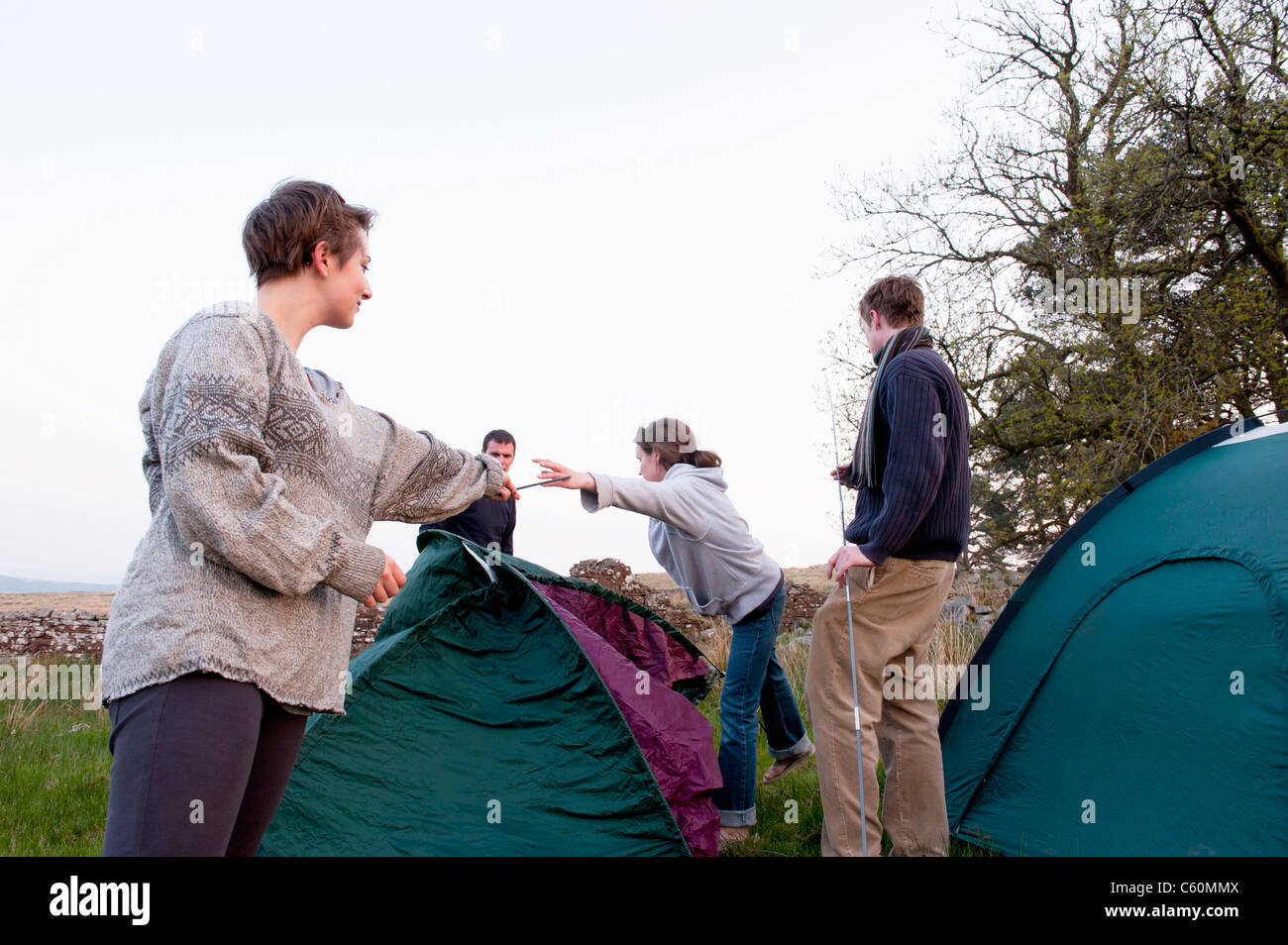 Menschen, die pitching-Zelte am Campingplatz Stockfoto
