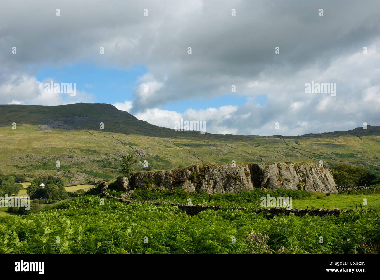 Felsige Landschaft in der Offshore-Valley, South Lakeland, Cumbria, England UK Stockfoto