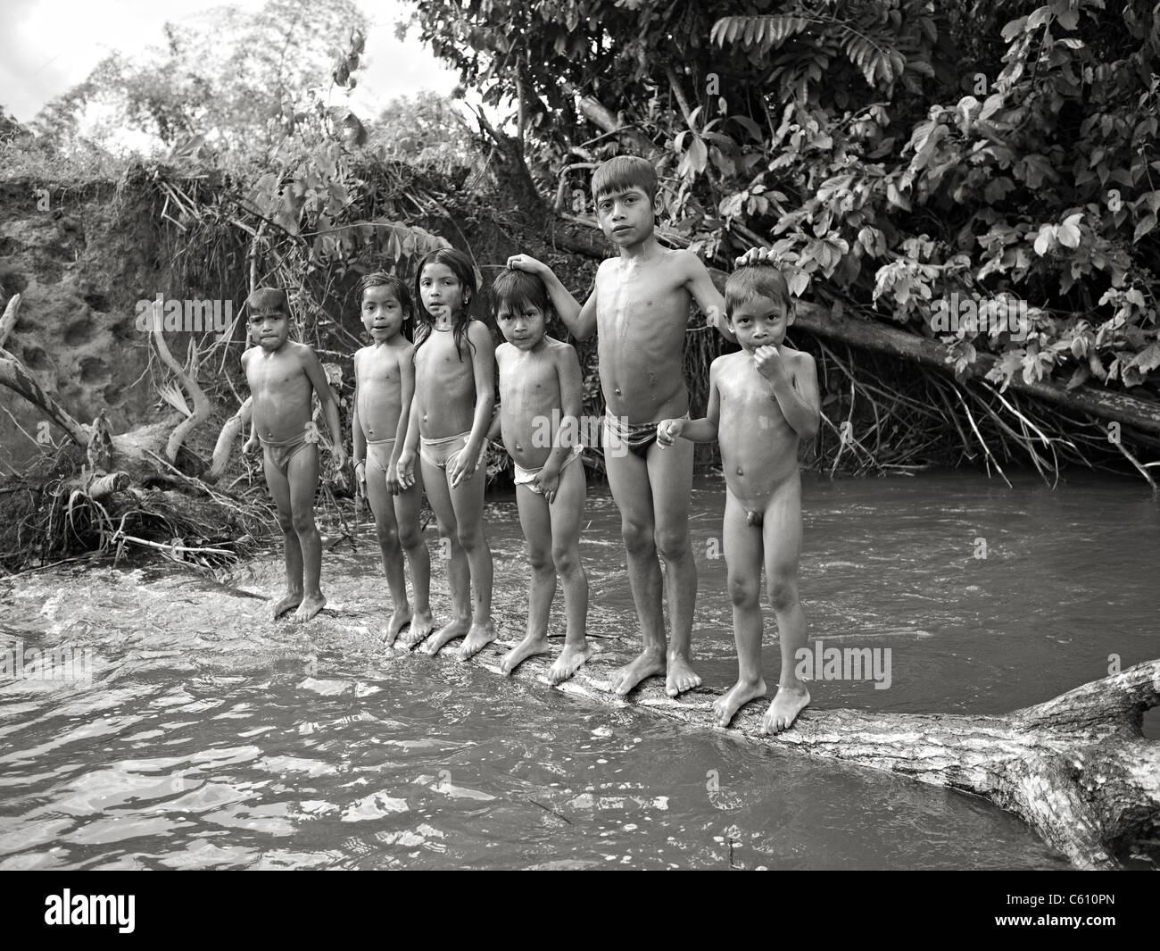 Amazonas Kinder schwimmen im Fluss. Stockfoto