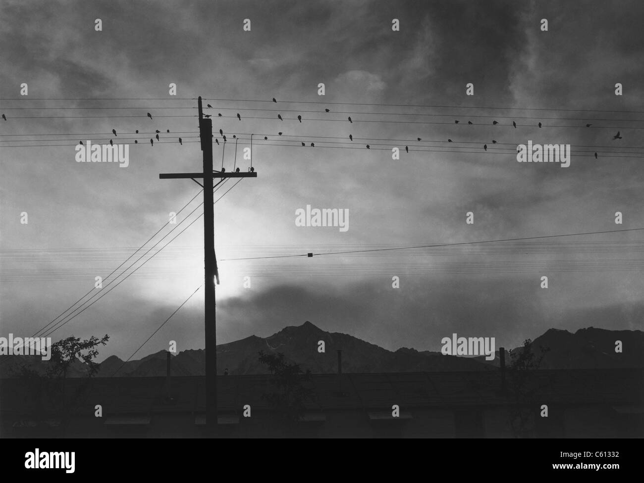 "Vögel auf Draht, Abend, Manzanar Relocation Center", 1943-Foto von Ansel Adams. Foto wurde während Adams Regierung Zuordnung zu japanischen amerikanischen Alltag im Internierungslager Manzanar während des zweiten Weltkriegs zu fotografieren. Stockfoto