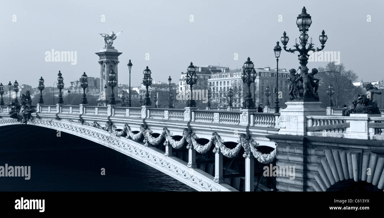Alexander III Brücke über den Fluss Seine in Paris. Frankreich. Stockfoto
