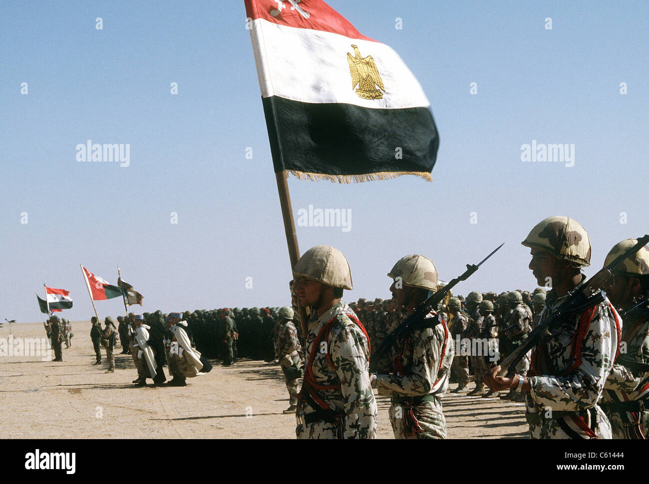 Ägyptische Truppen stehen zur Überprüfung an König Fahd von Saudi-Arabien als Teil der internationalen Koalitionsstreitkräfte vereint gegen den Irak während Betrieb Wüstensturm. 8. März 1991. (BSLOC 2011 3 24) Stockfoto