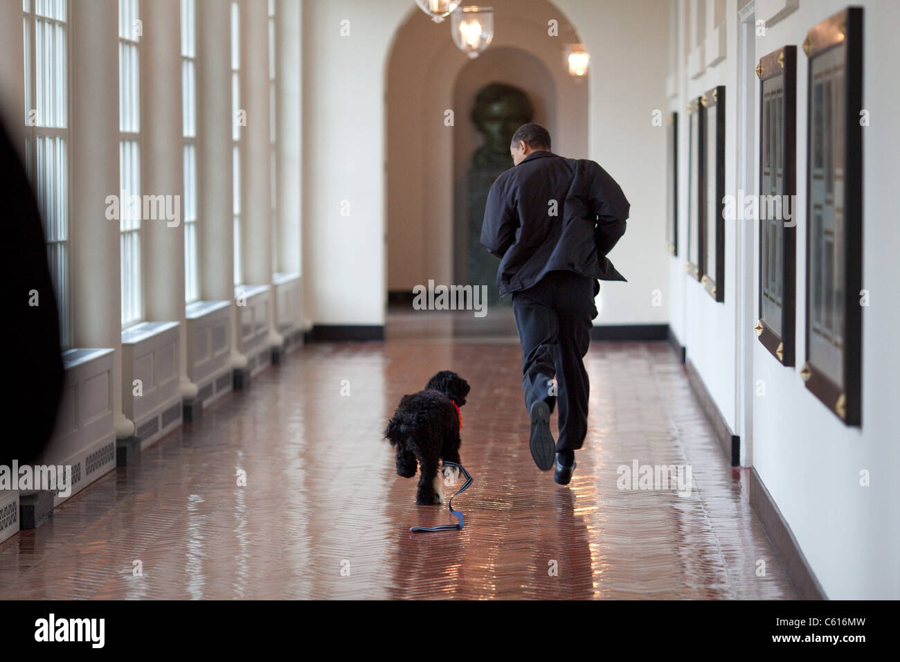 Präsident Barack Obama verläuft entlang der Ost-Kolonnade mit Familienhund Bo bei seinem ersten Besuch im Weißen Haus 15. März 2009. Bo kam zurück, um im Weißen Haus in April., Foto: Leben: Everett Collection(BSLOC_2011_7_7) Stockfoto