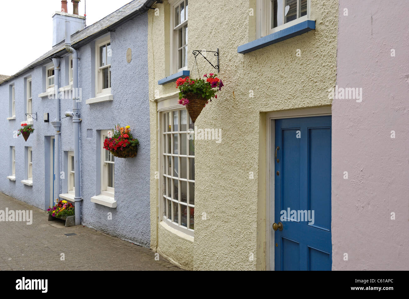 Verschiedene Arten von hängenden Körben mit Blumen außerhalb einer Häuserzeile Terrasse gemalt in Pascal Farben, Tenby, Wales, uk Stockfoto
