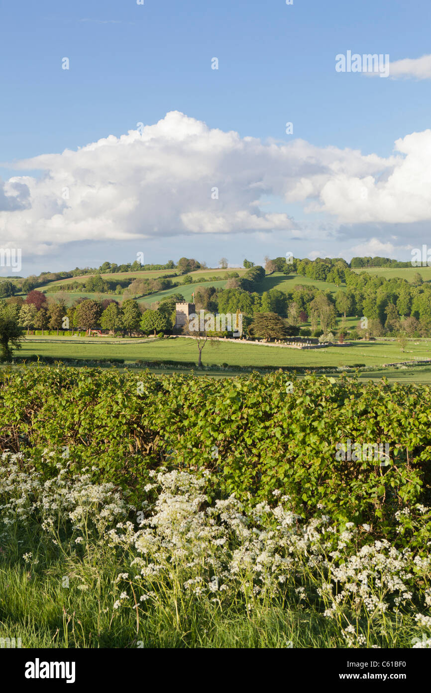 Abend-Sonnenlicht fällt auf die Cotswold Dorf Guiting Power, Gloucestershire Stockfoto