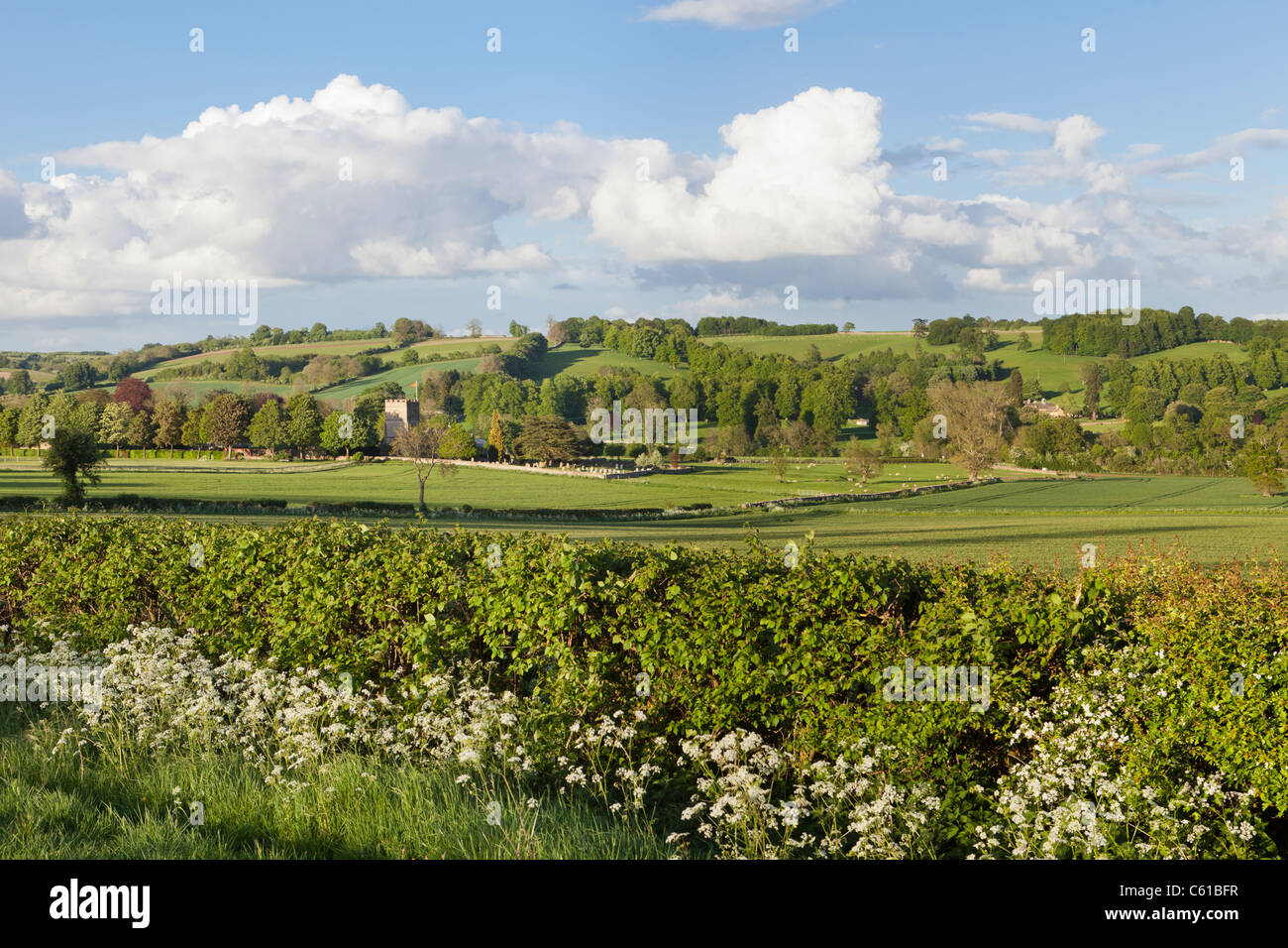 Abend-Sonnenlicht fällt auf die Cotswold Dorf Guiting Power, Gloucestershire Stockfoto