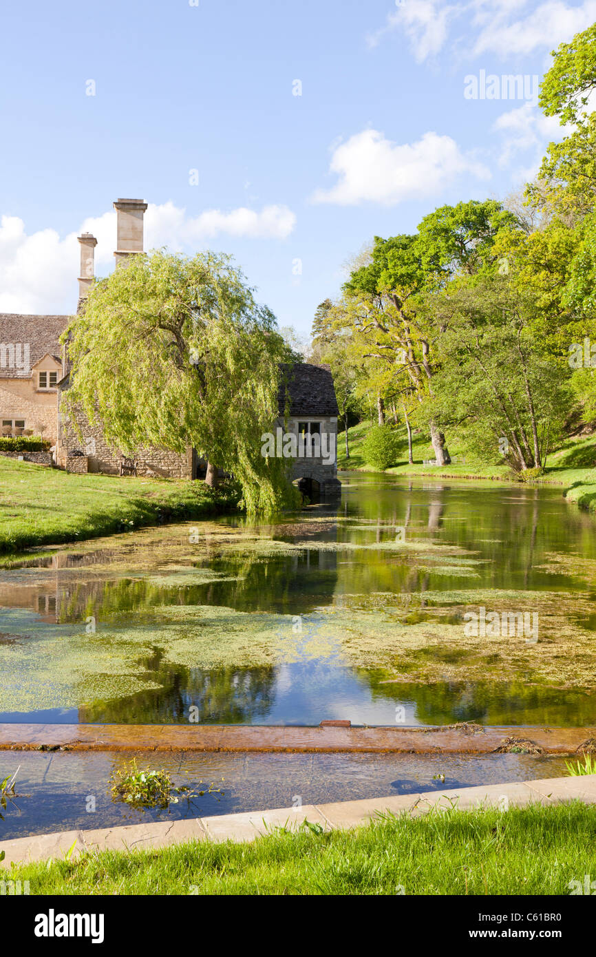 Abendlicht in den Cotswolds am Hilcot, in der Nähe von Withington, Gloucestershire Stockfoto