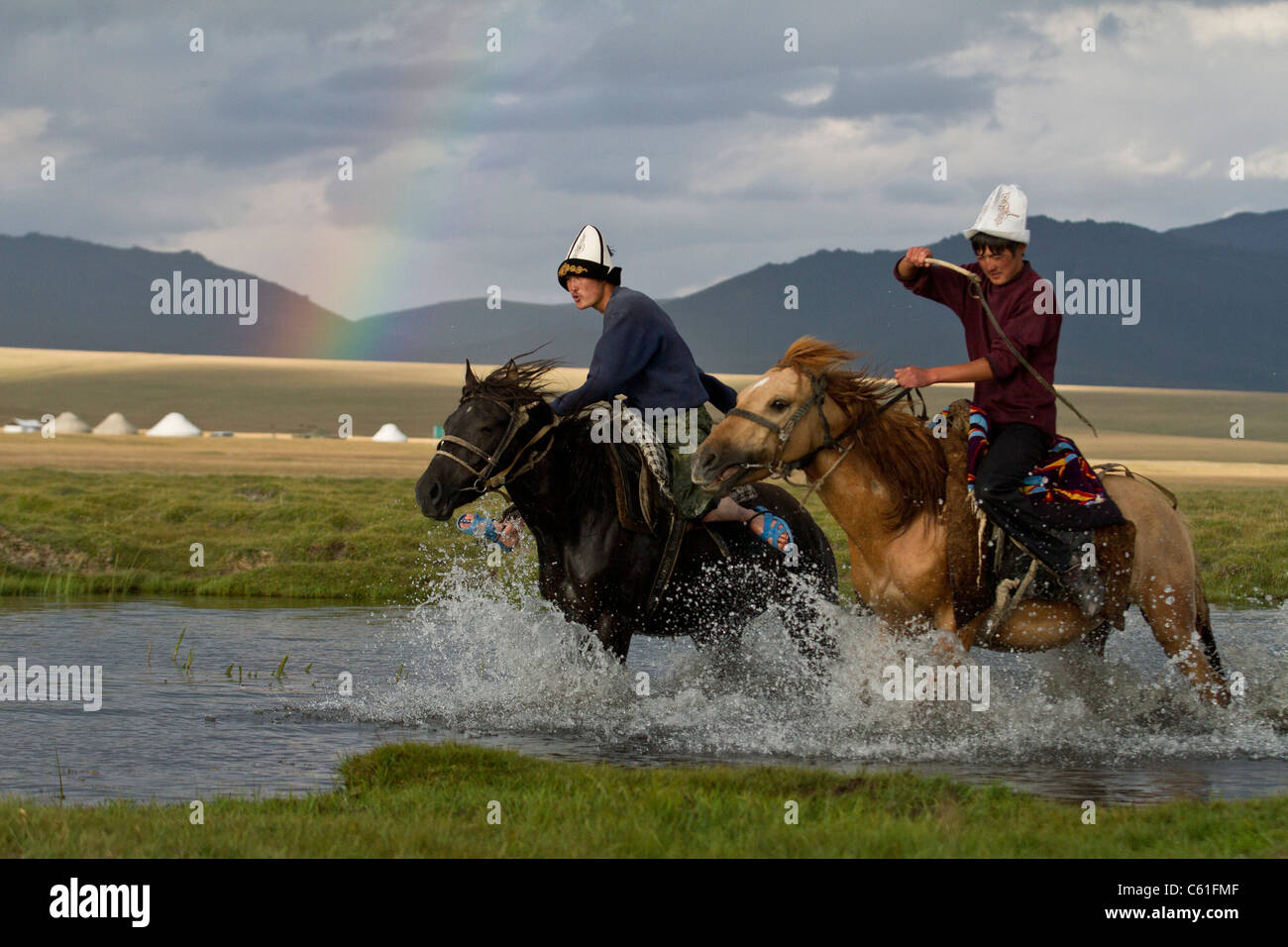 Aufzucht eines Pferdes, Song Kul-Kirgisistan Stockfoto