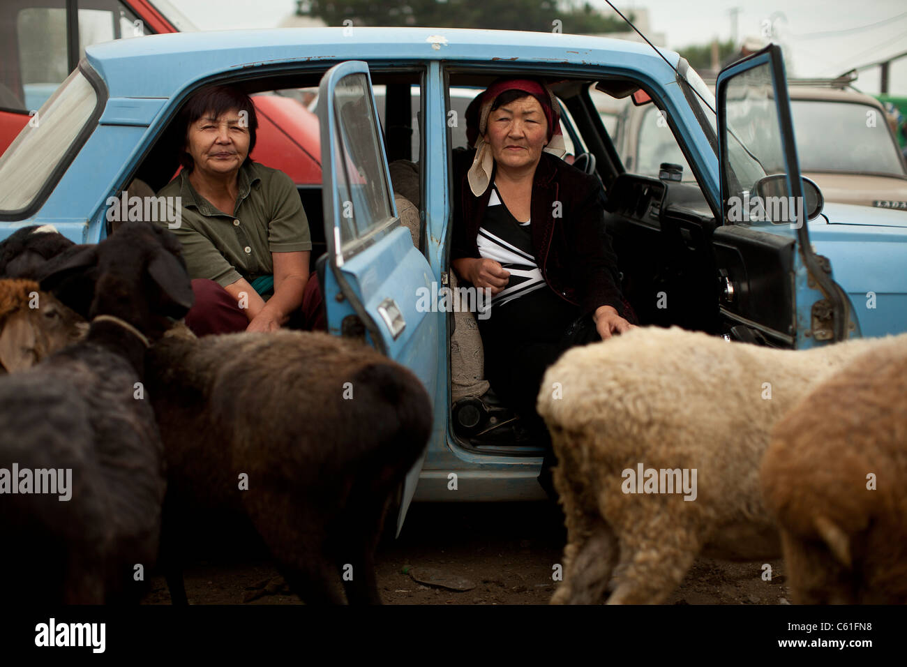 Die tierischen Sonntagsmarkt (Mal Basar) in Karakol, Kirgisistan. Stockfoto