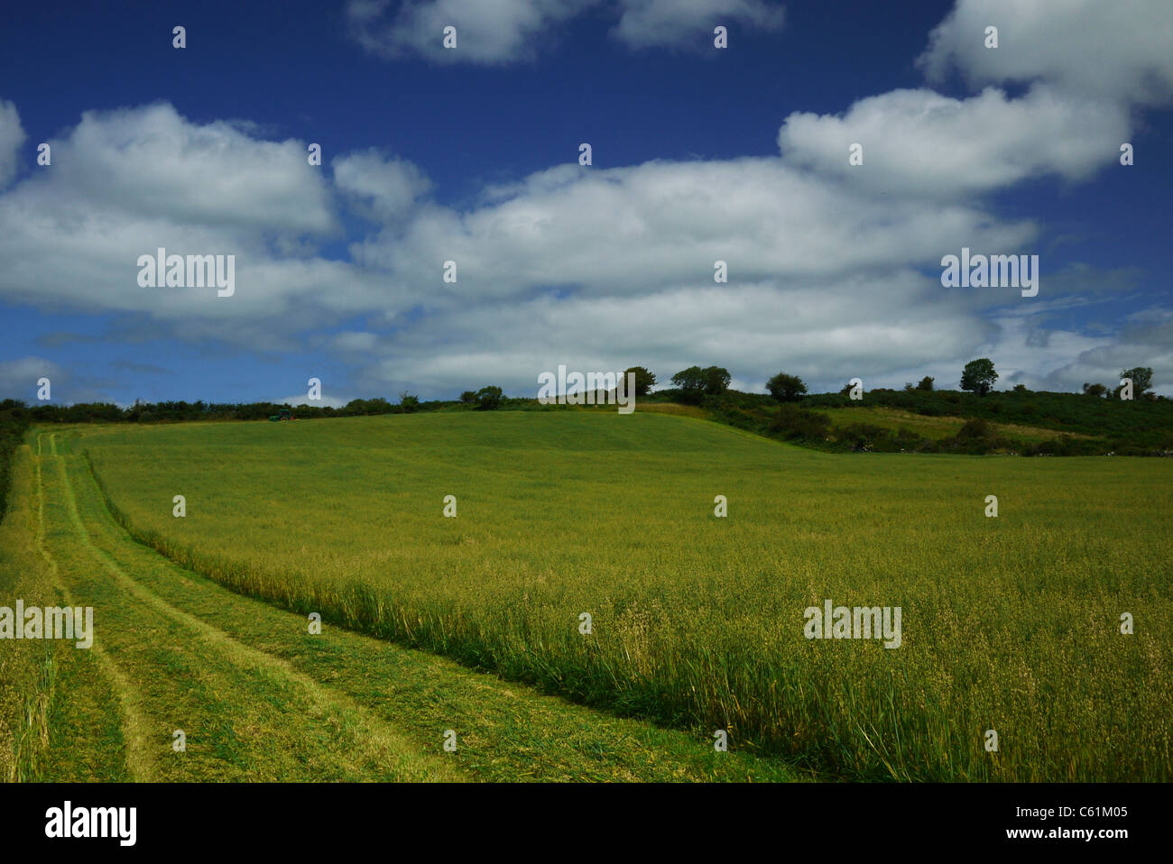 Landwirtschaft in Großbritannien Irland sammeln der Ernte Schneiden der Hafer auf einem Traktor Stockfoto