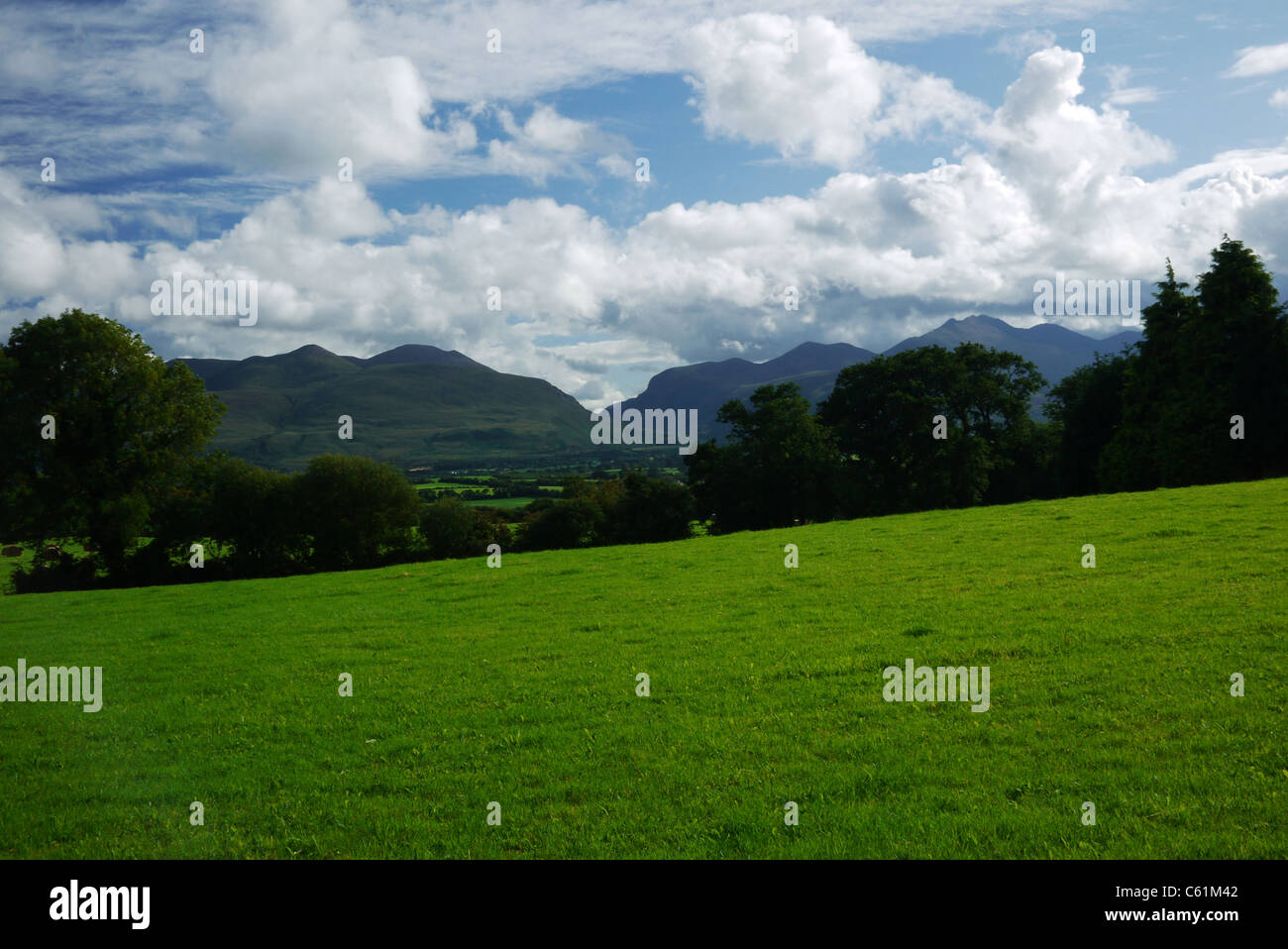 Landwirtschaft in Großbritannien Irland sammeln der Ernte Schneiden der Hafer auf einem Traktor Stockfoto