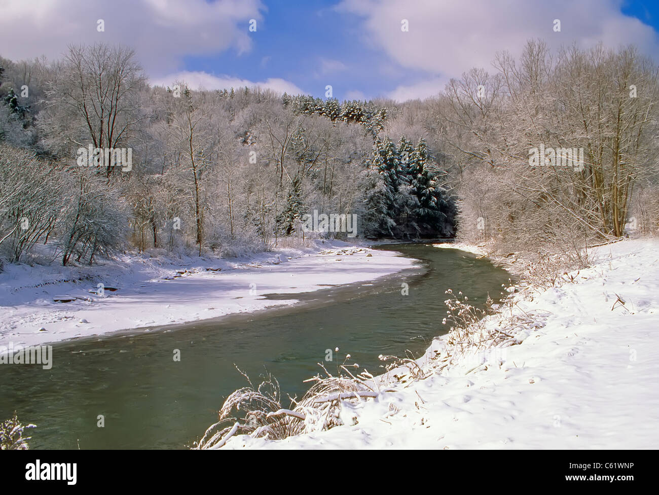 Winter-Creek im westlichen New York State Stockfoto