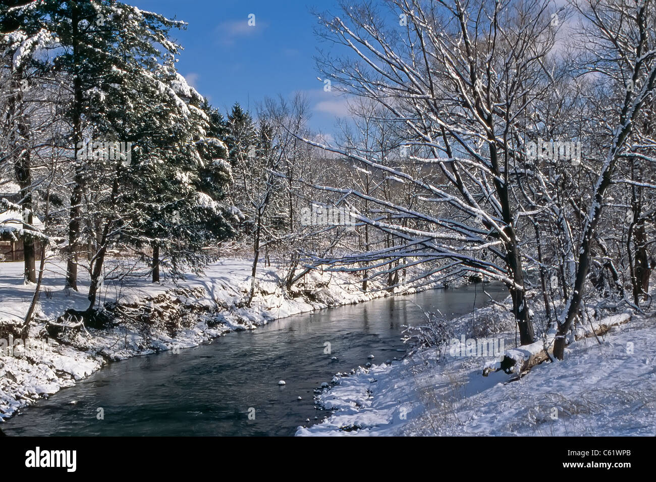 Winter-Creek im westlichen New York State Stockfoto