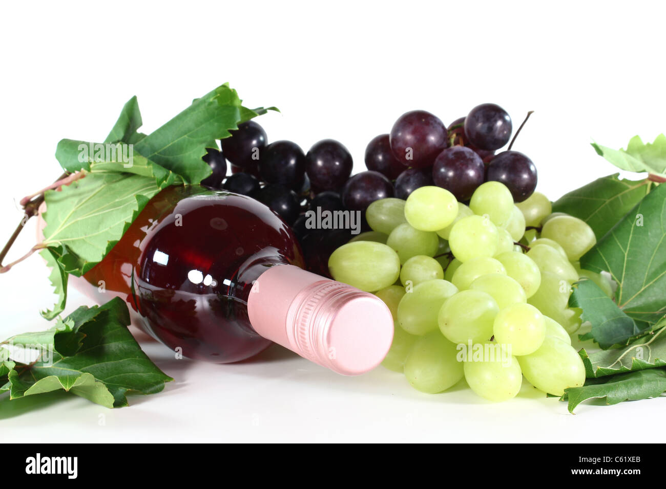 eine Flasche rose Wein, Trauben und Wein Ranke auf weißem Hintergrund  Stockfotografie - Alamy