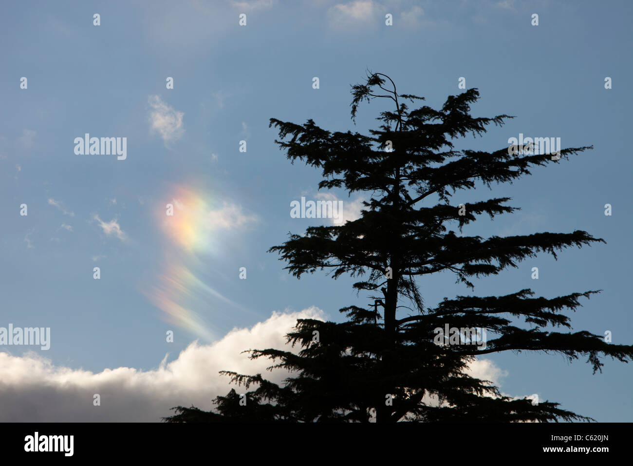 Parhelion oder Sundog, verursacht durch Sonneneinstrahlung reflektiert aus Eiskristallen in großer Höhe Wolke über Windermere, Cumbria, UK. Stockfoto