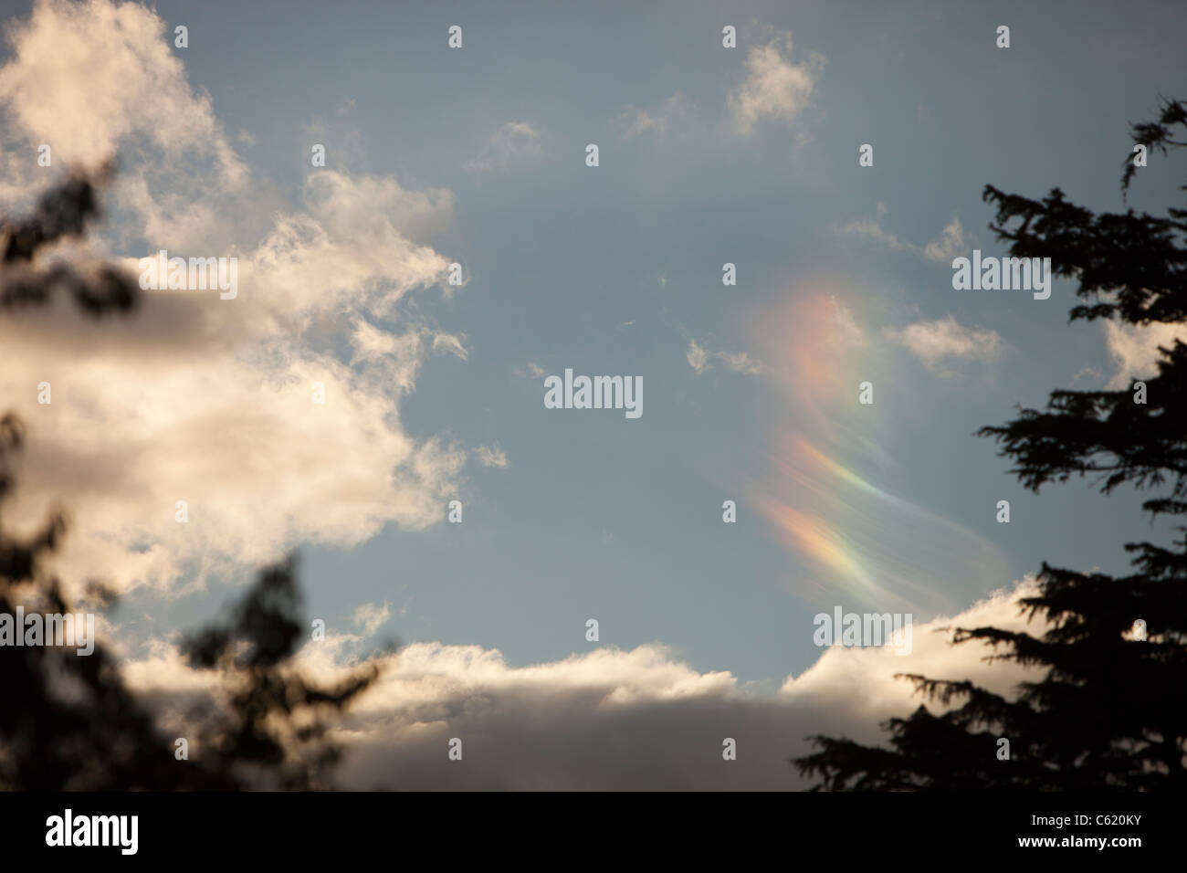 Parhelion oder Sundog, verursacht durch Sonneneinstrahlung reflektiert aus Eiskristallen in großer Höhe Wolke über Windermere, Cumbria, UK. Stockfoto