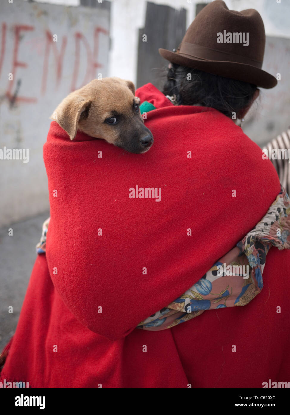 Indigene Frau einen Hund auf dem Rücken tragen. Stockfoto