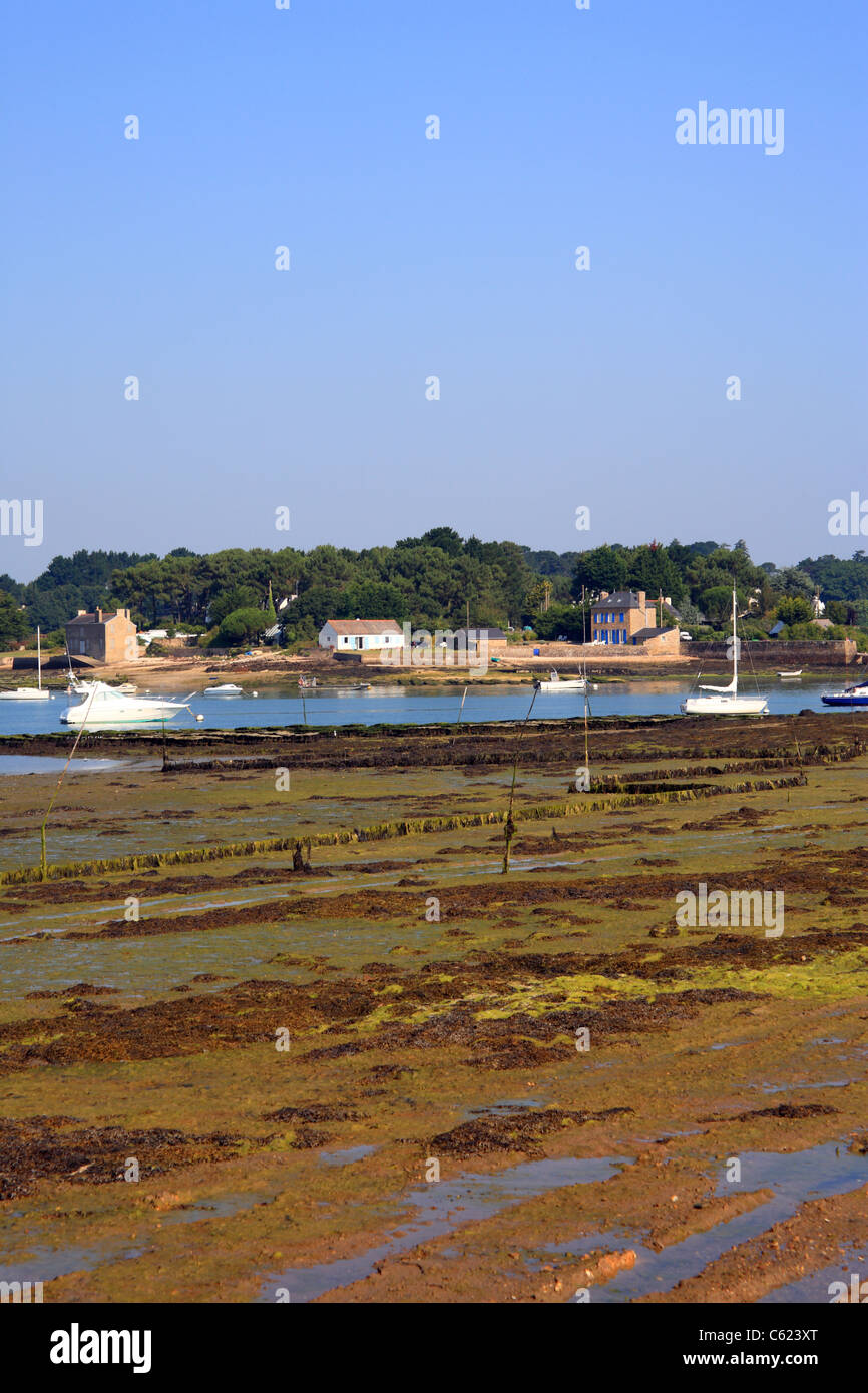 Ebbe und Blick in Richtung Fort Espagnol aus Port du Parun, Parun