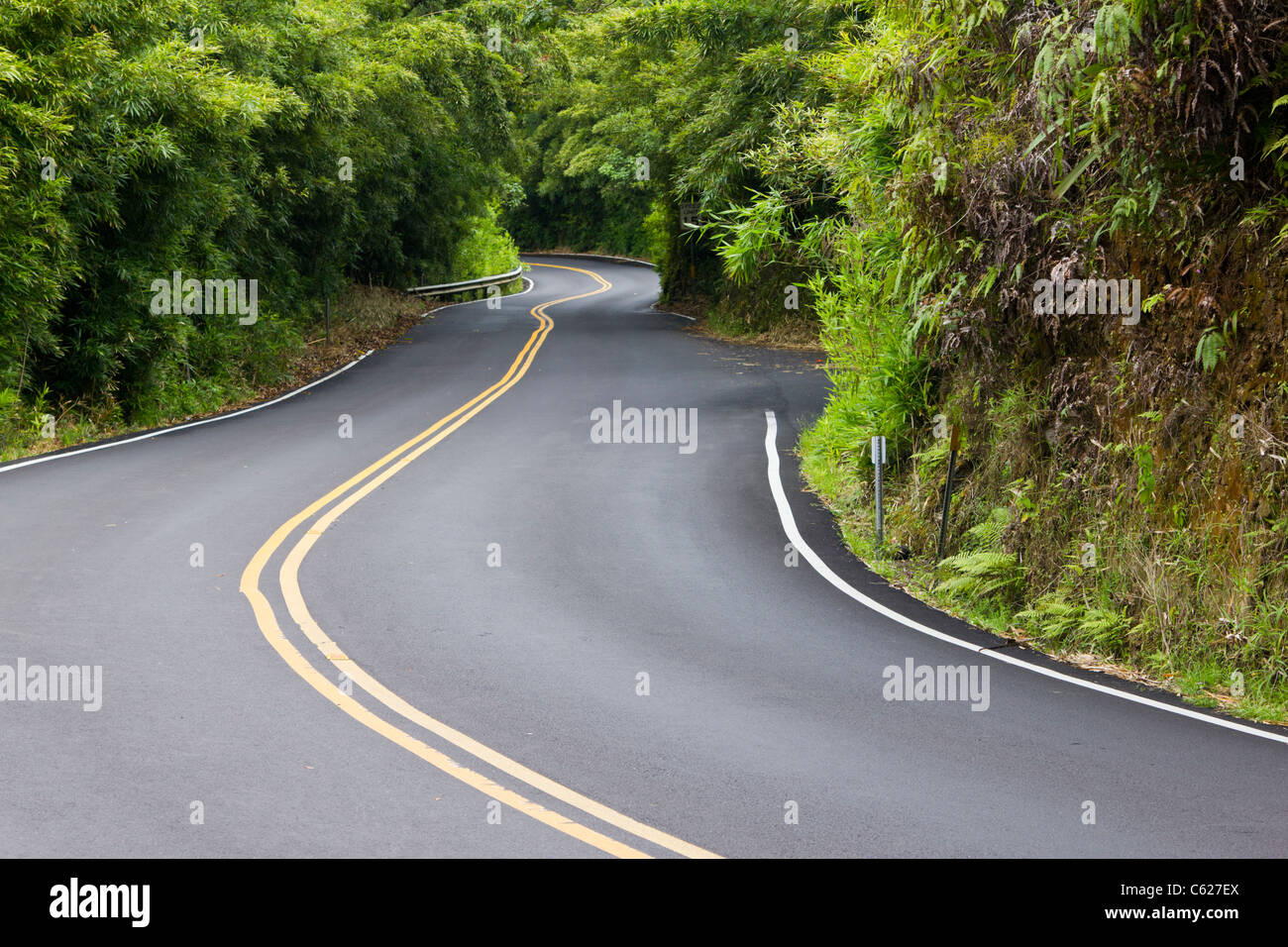 Straße nach Hana, Maui; Hawaii; Inseln; Stockfoto