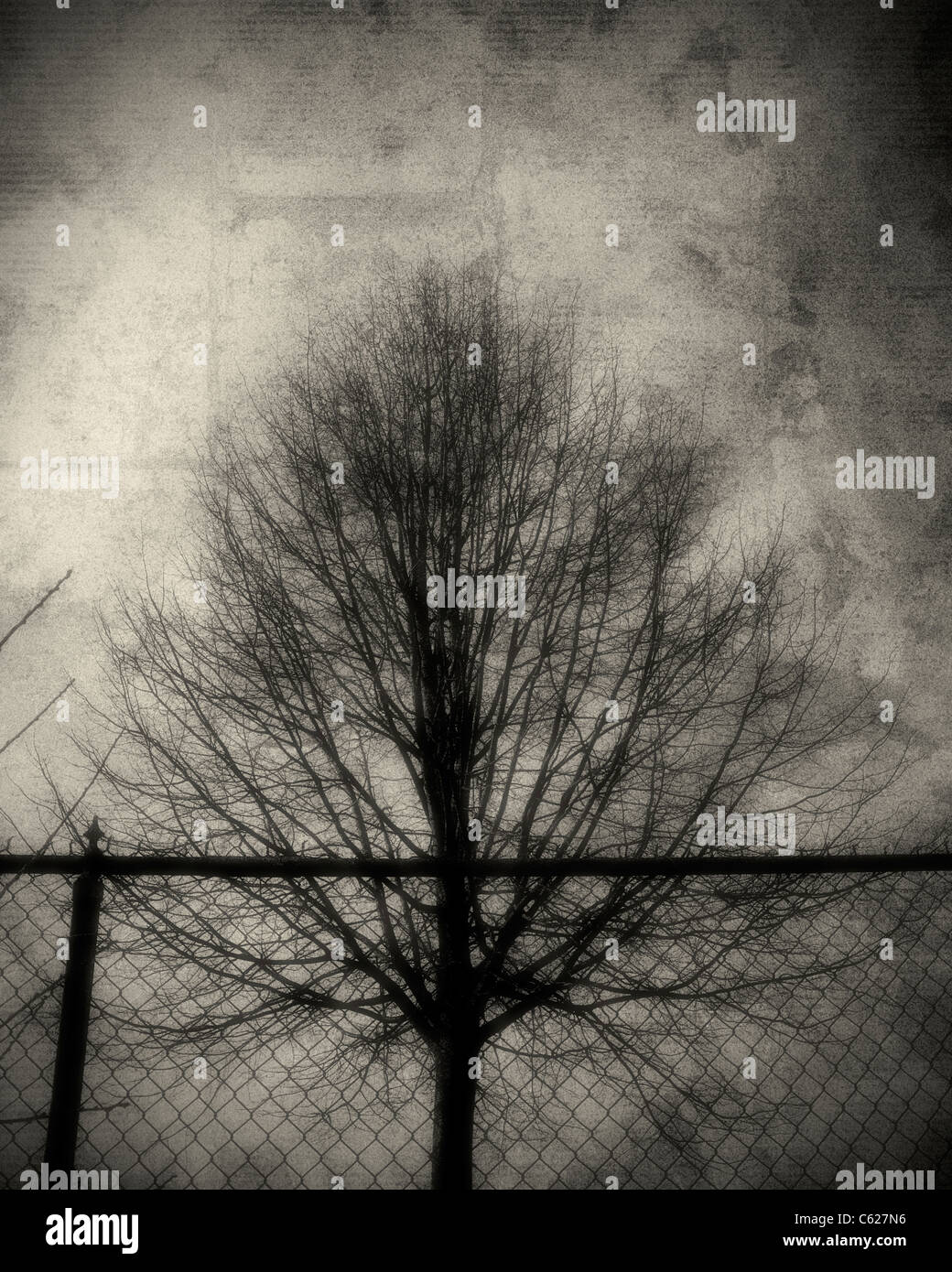 Künstlerischen Bild eines nackten, Toten Baumes vor einem Maschendrahtzaun - Textur für künstlerische Effekte hinzugefügt. Stockfoto