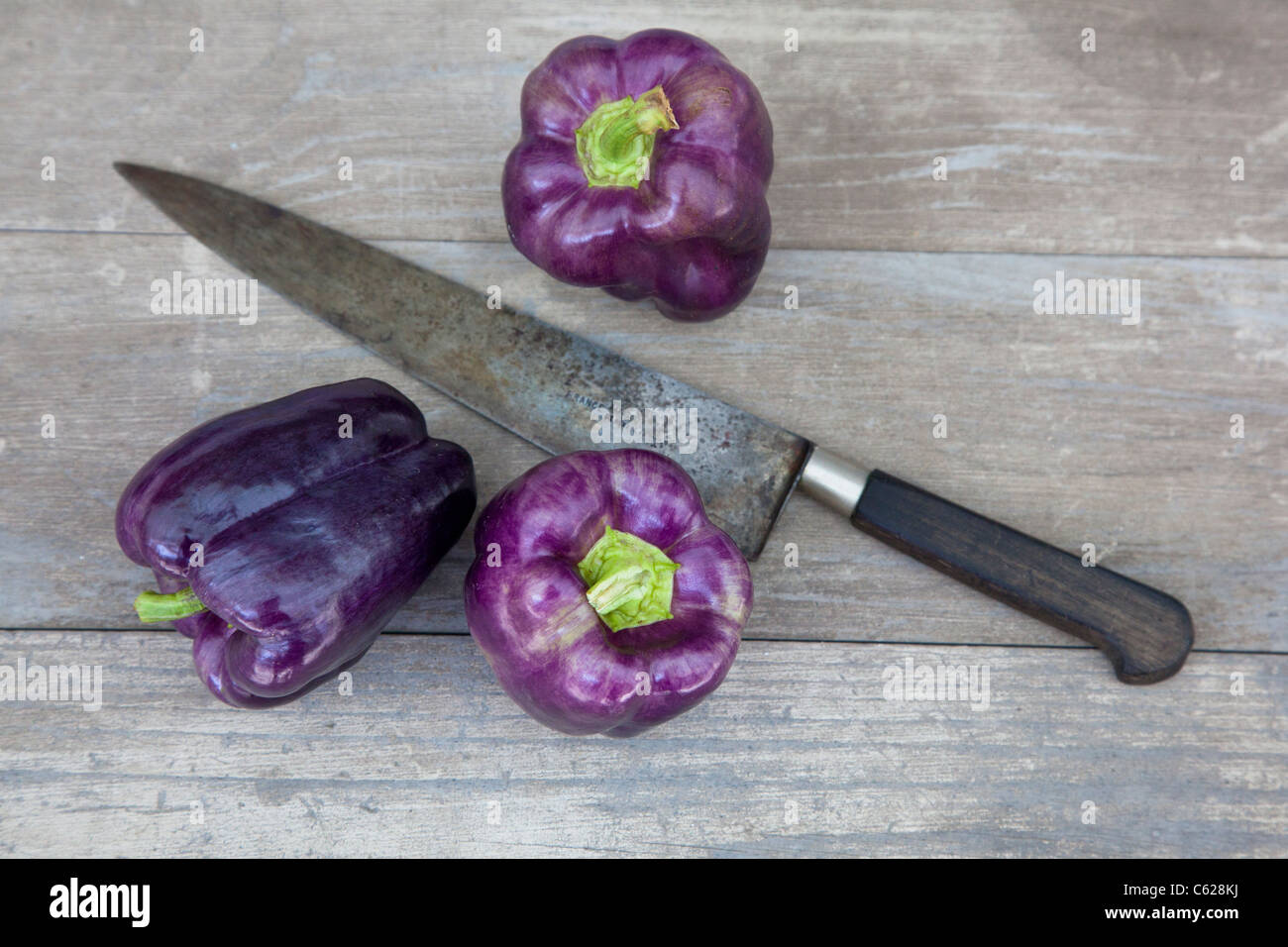 lila Paprika mit Messer Stockfoto