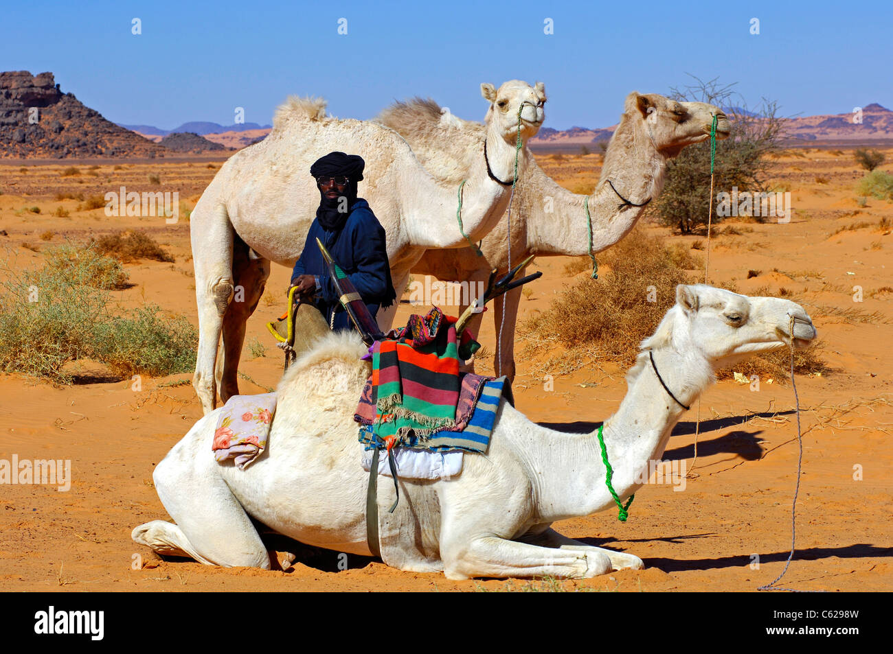 Tuareg-Nomaden mit seinem Mehari Dromedare bei einem ruhenden Ort ...