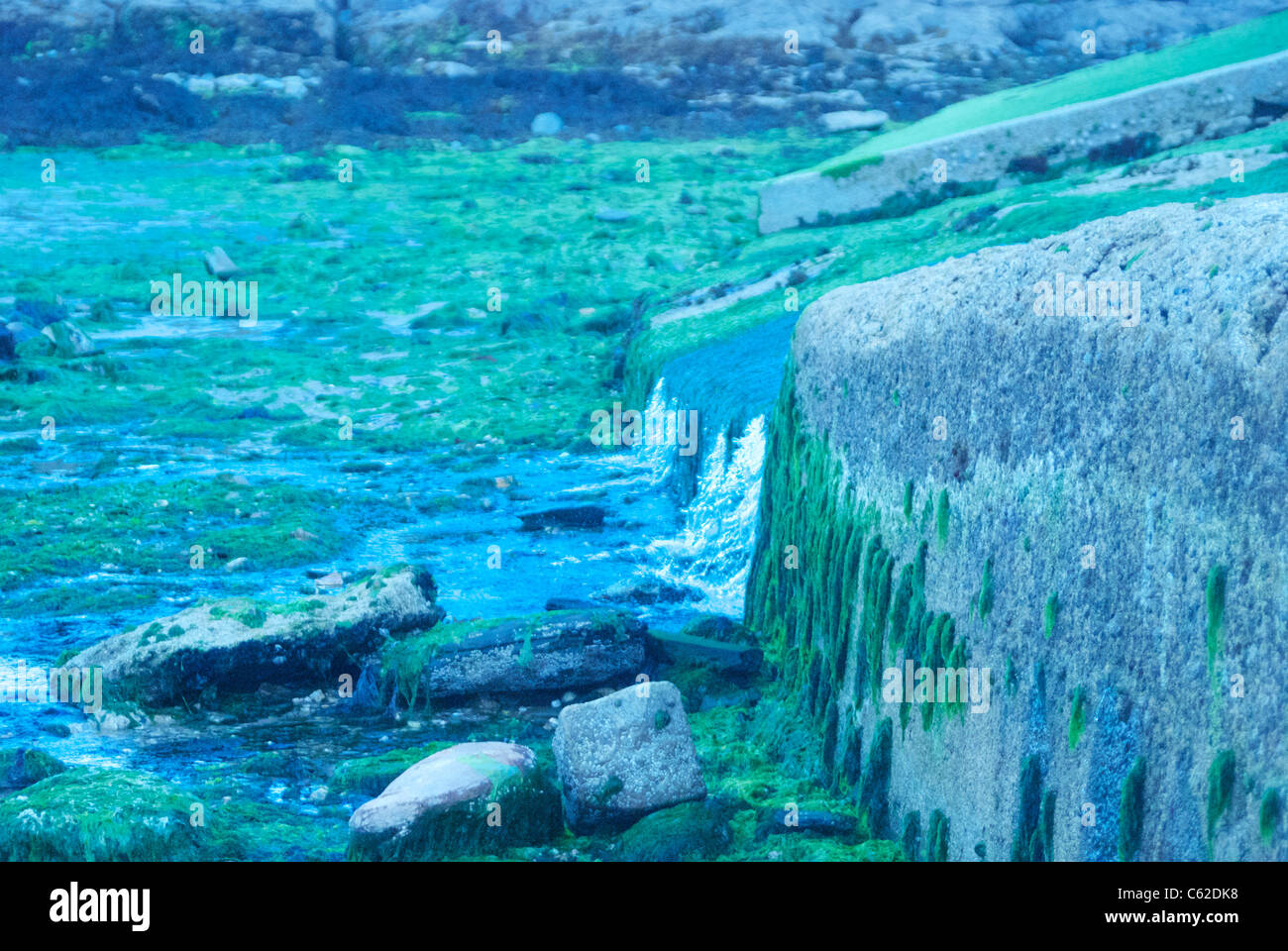 Ansicht von Algen bedeckt Felsen an einem Strand mit Wolfram Lichteinstellungen aufgenommen Stockfoto