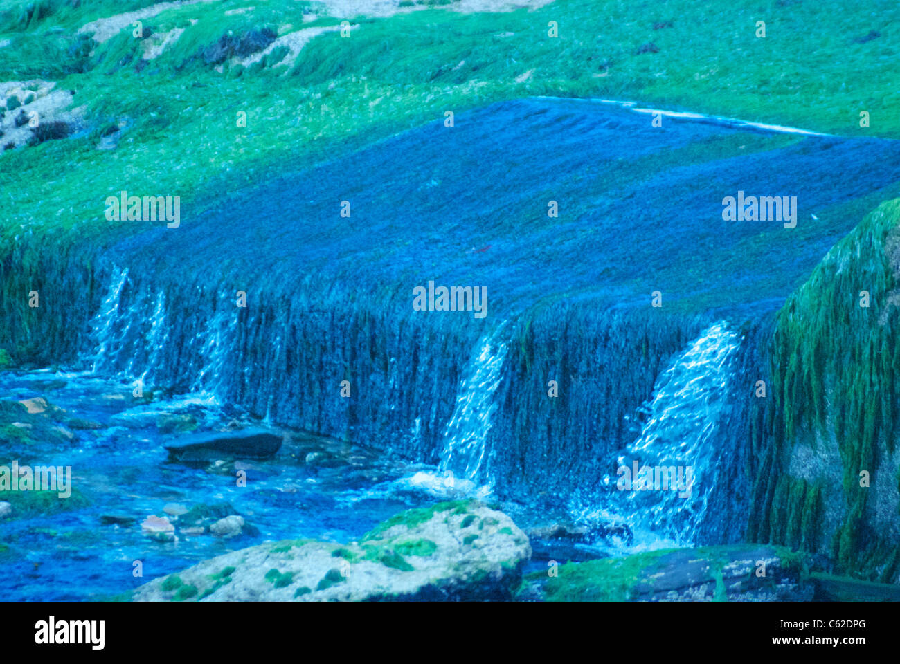 Wasser fließt über einen Schritt bedeckt in Algen, die mit Wolfram Licht Einstellung Stockfoto