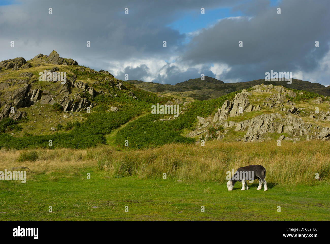 Dunnerdale Fells, Offshore-Valley, South Lakeland, Cumbria, England UK Stockfoto