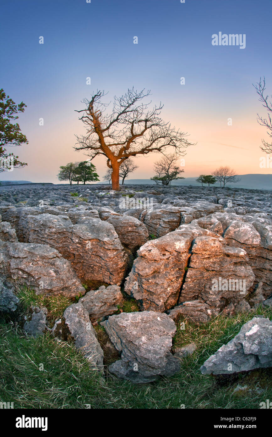 Der Yorkshire Dales National Park in der Abenddämmerung. Stockfoto