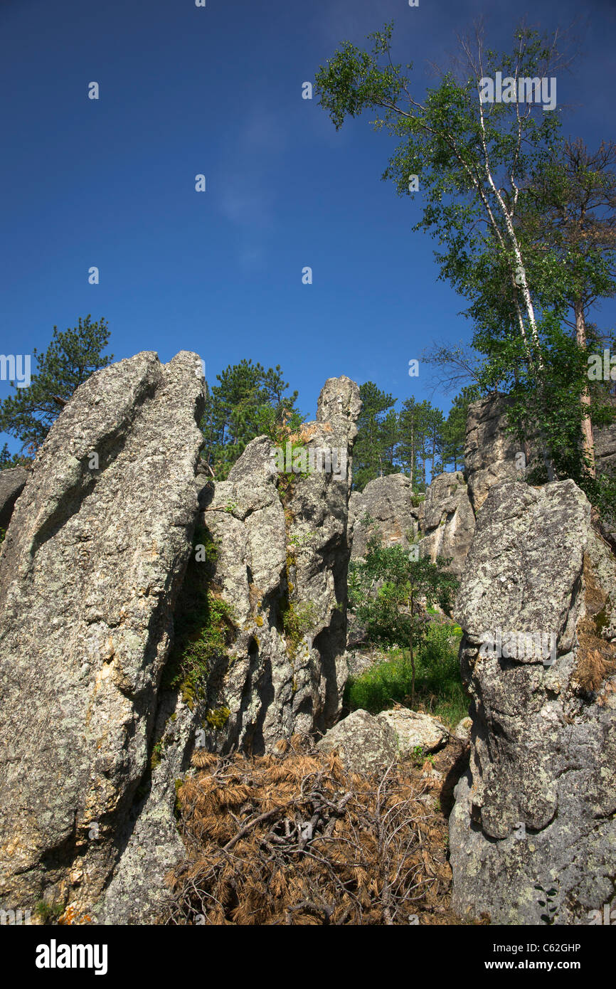 Black Hills in South Dakota in den USA US Needles Highway Custer State Park National Forest malerische Berge wunderschöne Landschaft mit niedrigem Winkel Hi-res Stockfoto