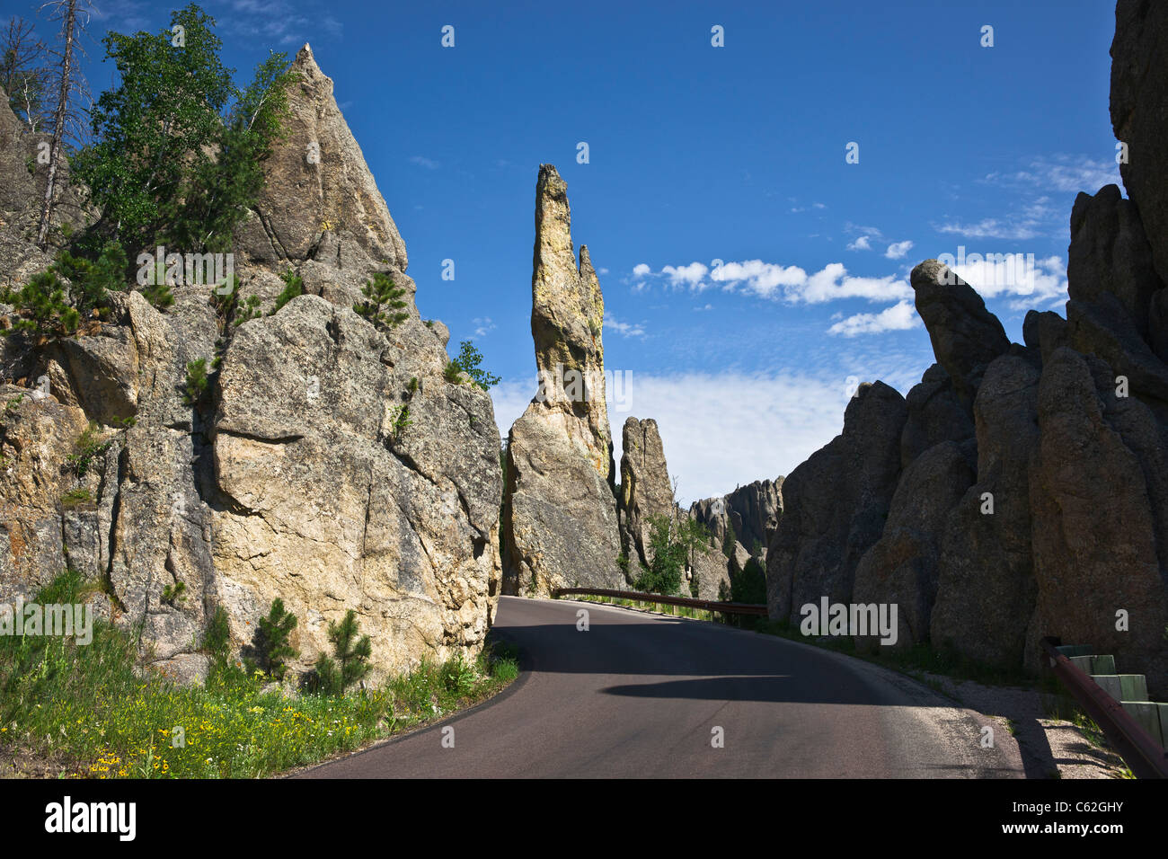 Black Hills in South Dakota in den USA US Needles Highway Custer State Park National Forest malerische Berge eine Straßenlandschaft mit flachem Winkel und horizontaler Hochauflösung Stockfoto