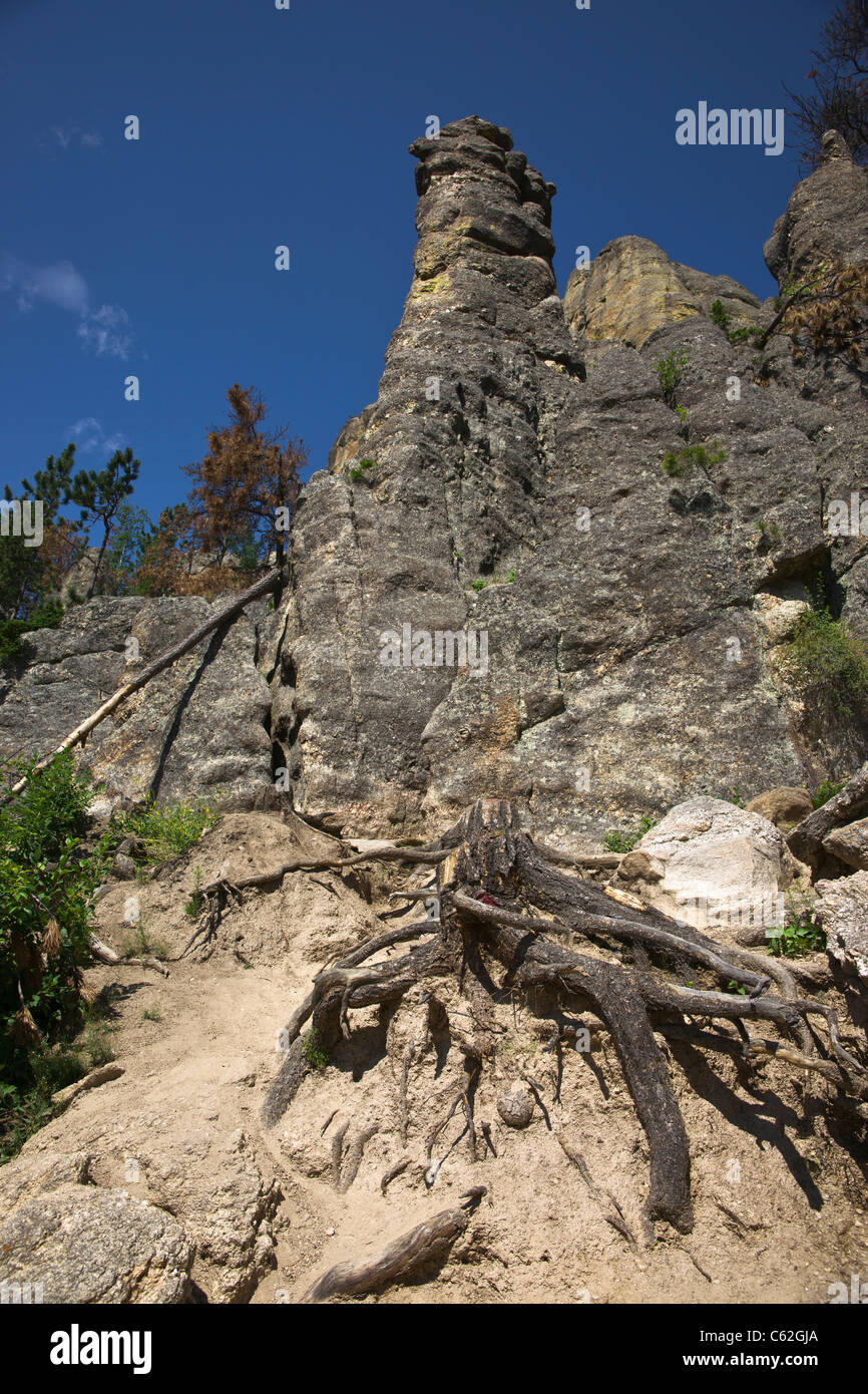 Black Hills in South Dakota USA Needles Highway im Custer State Park malerische Granitfelsen Landschaft Niemand keine vertikale Hochauflösung Stockfoto