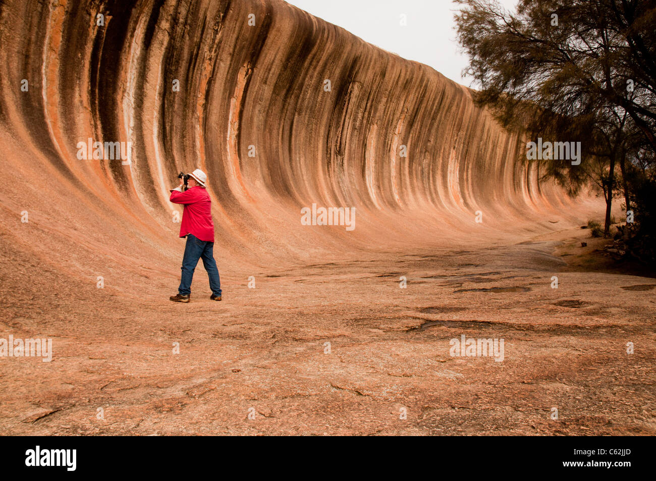 Wave Rock eine geologische Formation aus mehrfarbigem Granit in der Nähe von Hyden in Westaustralien Stockfoto