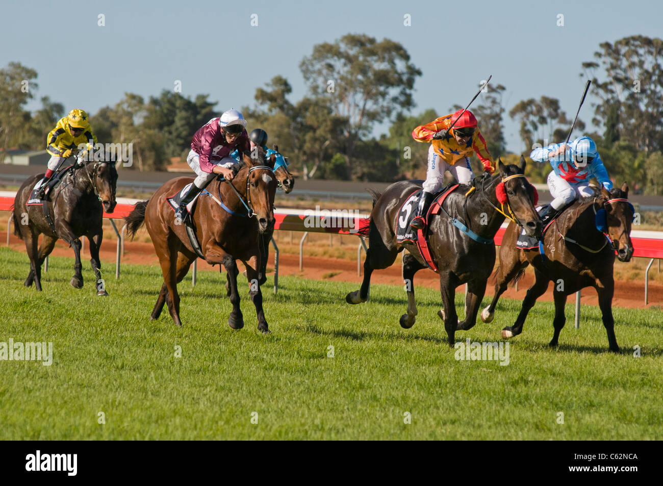 Pferderennen in Kalgoorlie Western Australia im Kalgoorlie-Boulder Racing Club Stockfoto