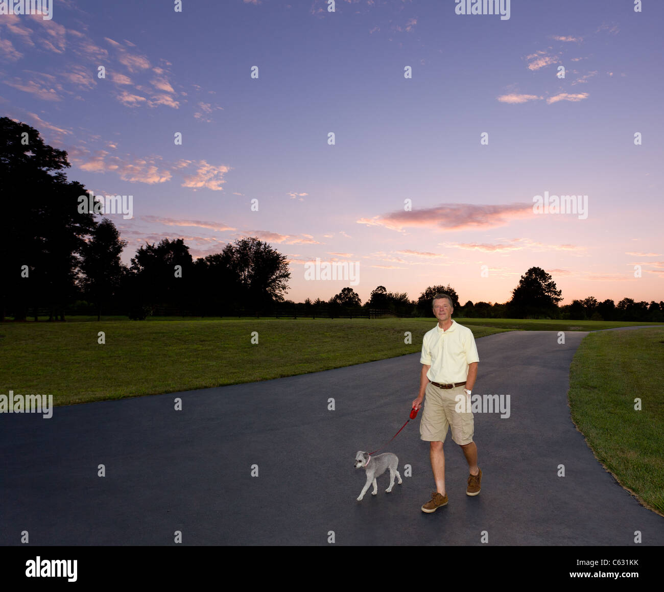 Hund wandern, Hund Walker, älterer Mann, kleiner Welpe in der Dämmerung Stockfoto