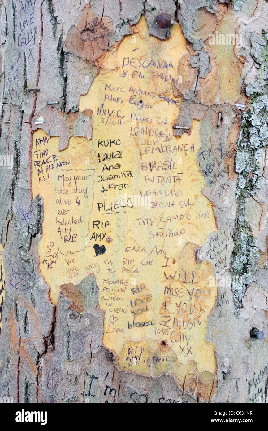 Eine der (17) Bilder im Zusammenhang mit den späten Amy Winehouse. Ehrungen und Beileid schmücken Bäume und Strasse Architektur außerhalb ihrer ehemaligen Heimat in Camden. Stockfoto