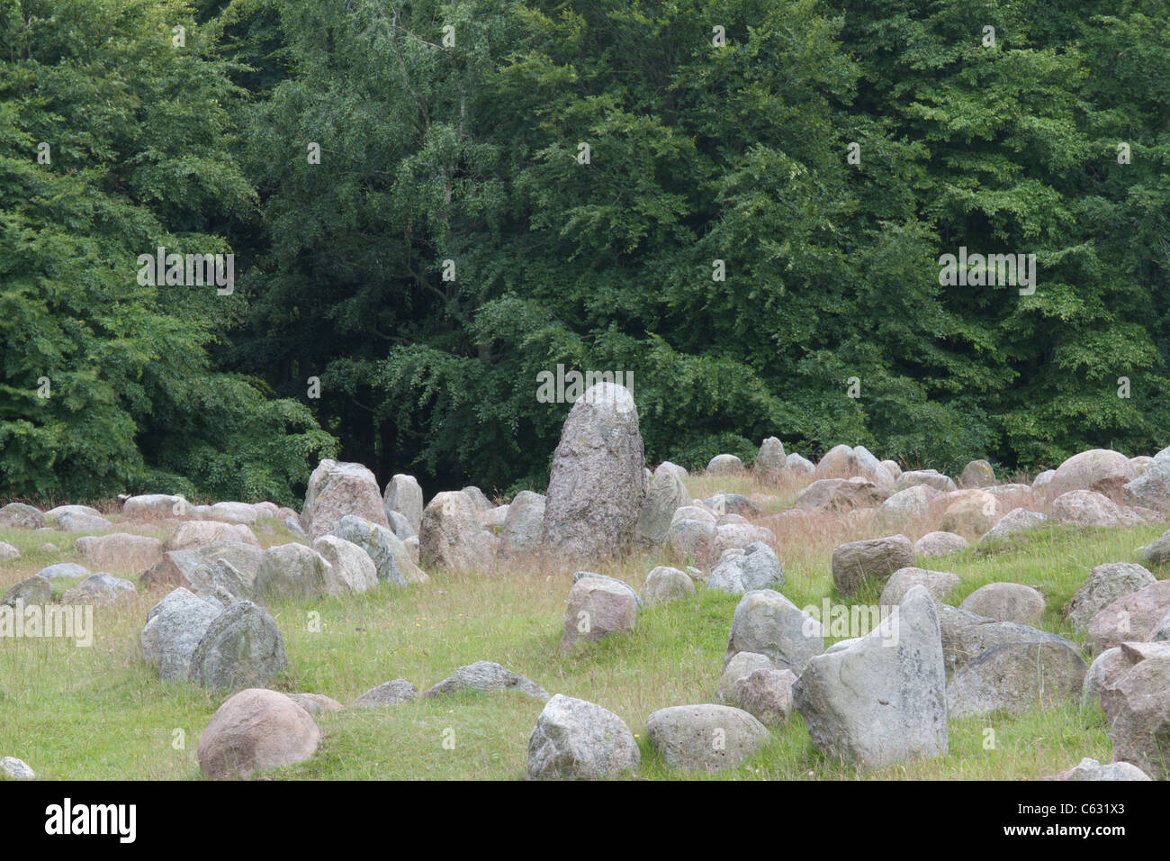 Lindholm Hoje, einem alten Wikinger-Friedhof in der Nähe von Aalborg, Dänemark Stockfoto