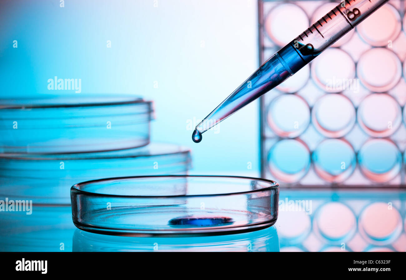 Pipette Flüssigkeit hinzufügen eines mehrere Reagenzgläser Stockfoto