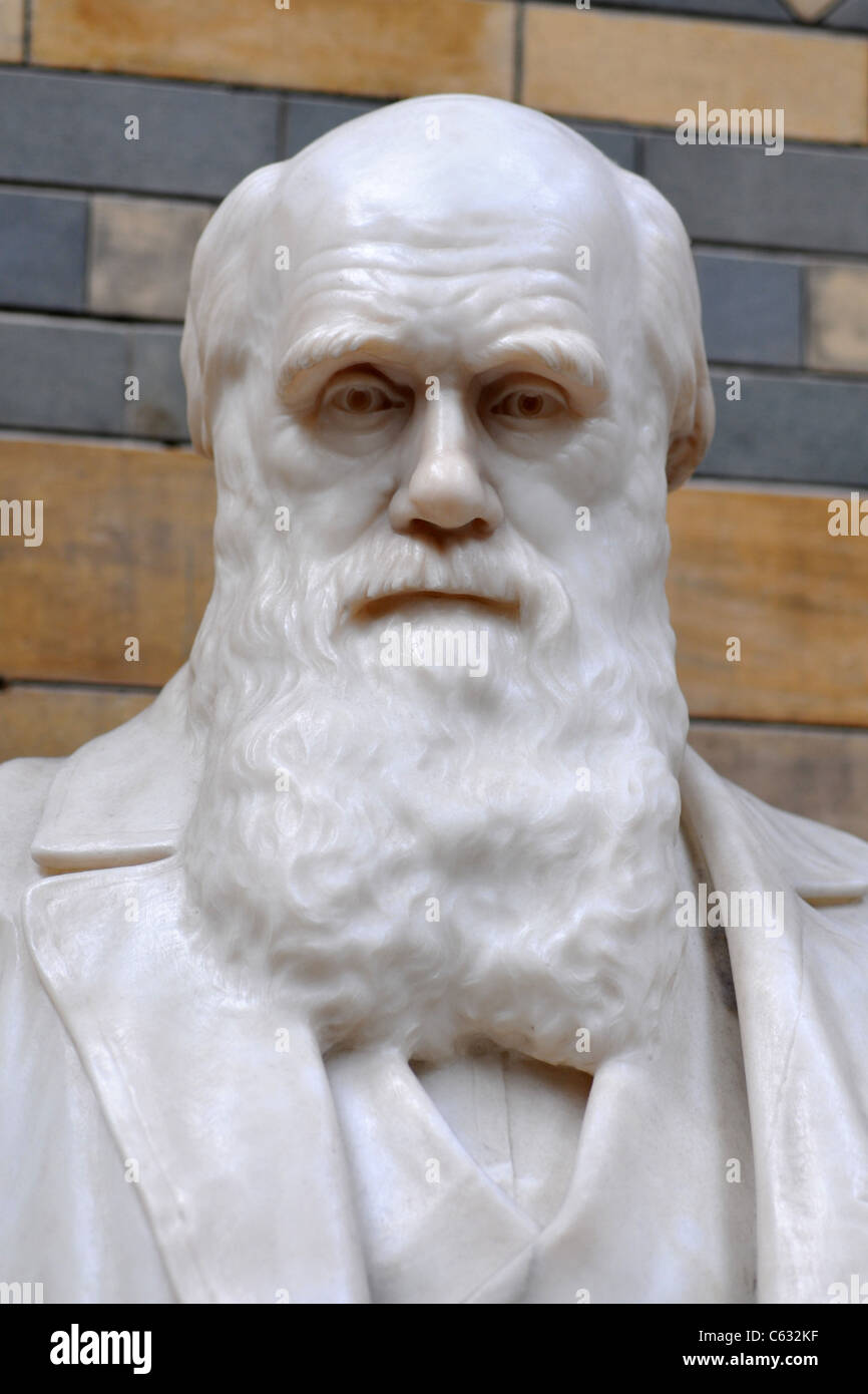 Charles Darwin-Statue, Natural History Museum, London, England, UK Stockfoto