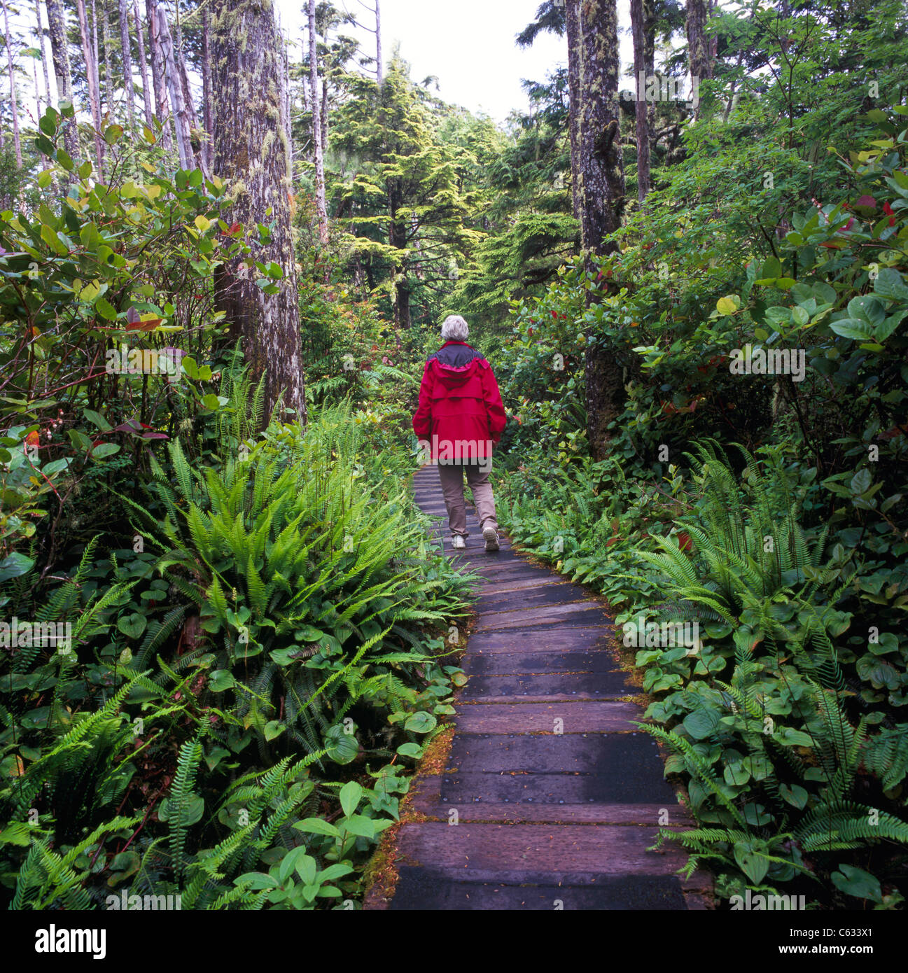 Vancouver Island, BC, Britisch-Kolumbien, Kanada - Wanderer Wandern am Boardwalk Trail in gemäßigten Regenwald nahe Ucluelet Stockfoto