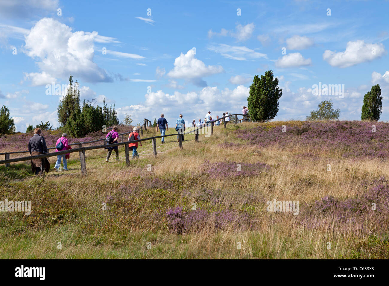 Montieren Sie, Wilsede, Lüneburg Heide, Niedersachsen, Deutschland Stockfoto