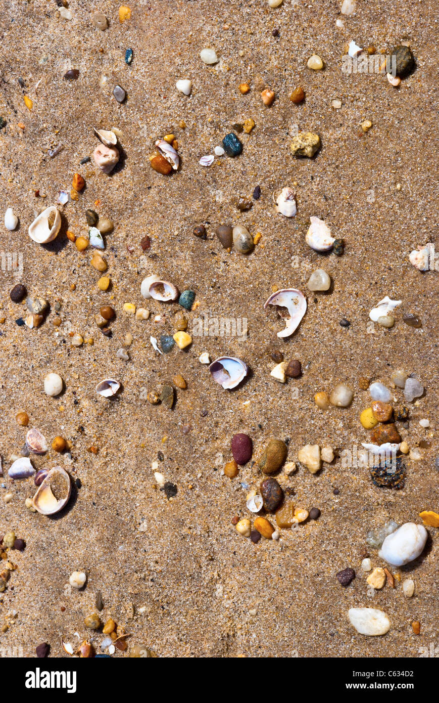 Steinen, Muscheln, Sand Abstraktion Stockfoto