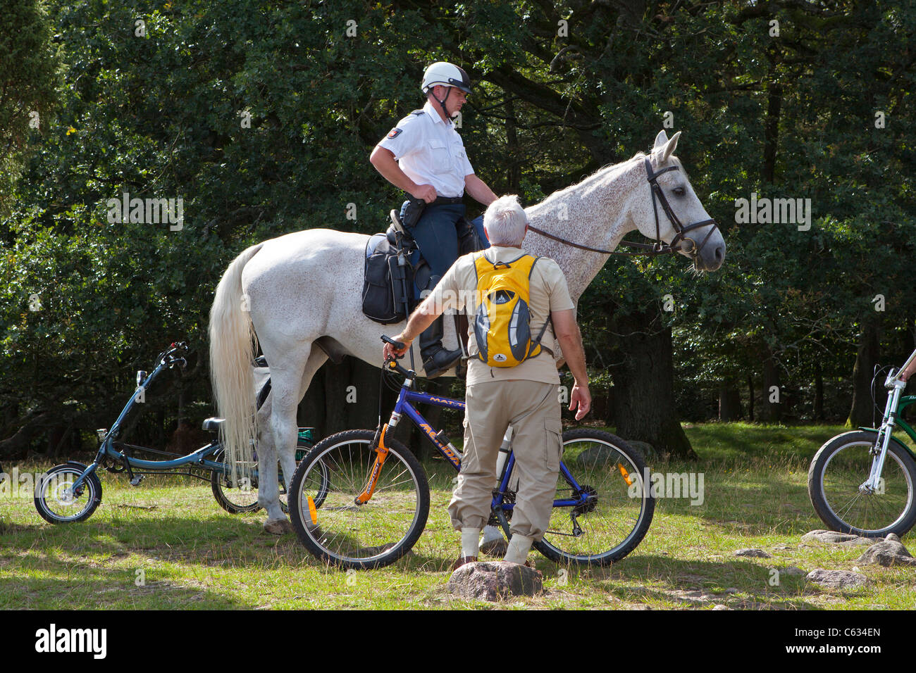 Polizist auf einem Pferd, Totengrund, Lüneburg Heide, Niedersachsen, Deutschland Stockfoto