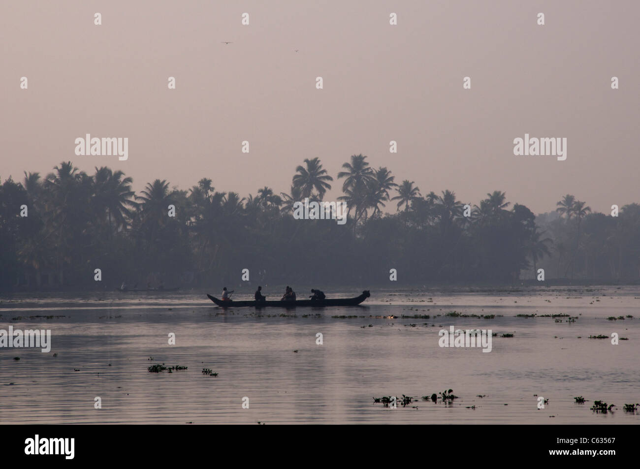 Kanu Transport frühen Morgenlicht Backwaters Kerala Süd-Indien Stockfoto